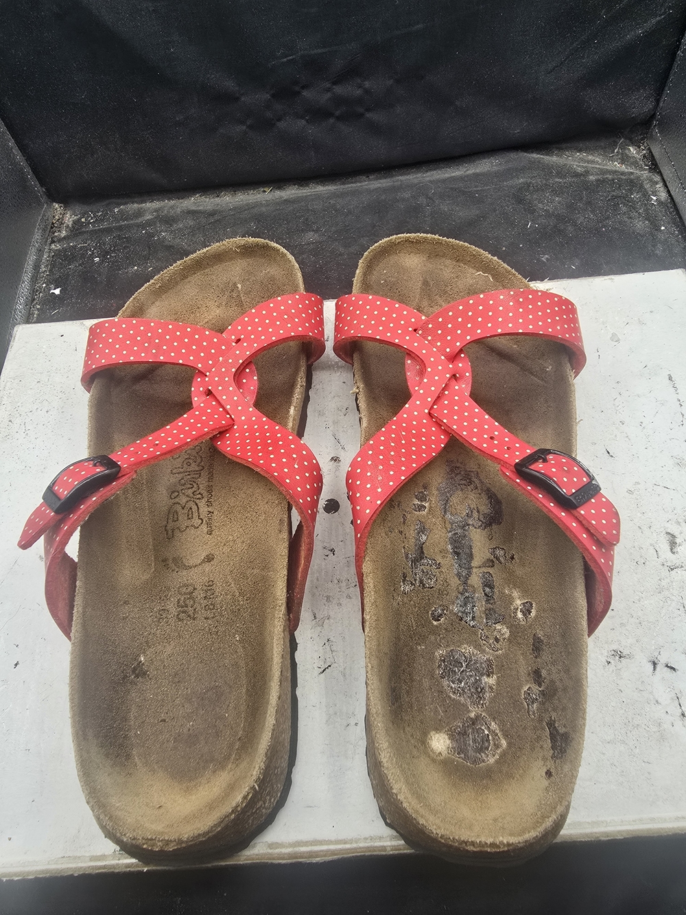 Birkenstock Red Polka Dot Women's Sandals